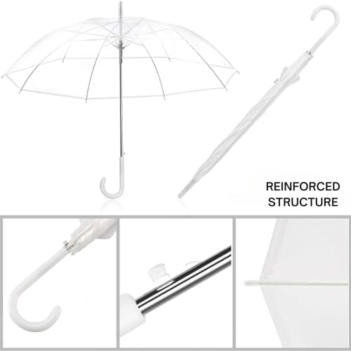 Liberty Imports Clear Automatic Stick Umbrella for Travel and Photo Events