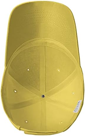 Raging Lesbian Curved Brim Snapback Hat for Men Women