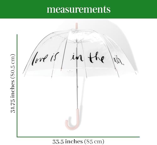 Kate Spade New York Clear Umbrella Love Is In The Air
