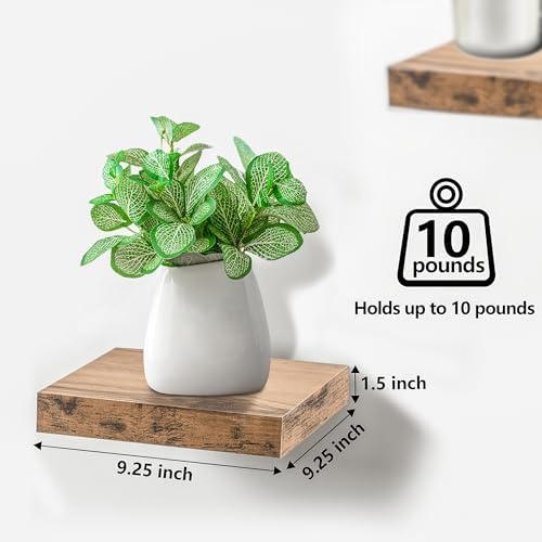 Sorbus 4 Square Floating Shelves for Wall Decor