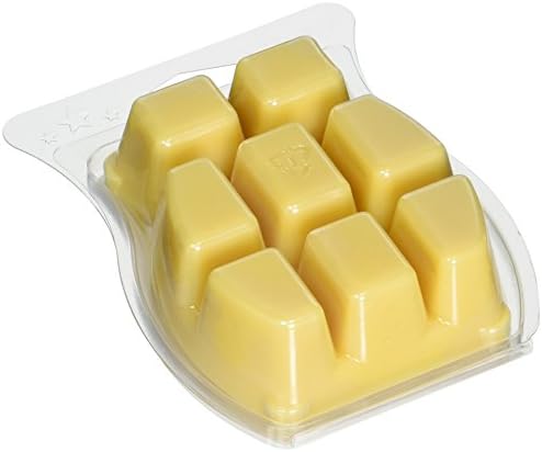 Scentsy Cinnamon Vanilla Wickless Candle Tart Warmer 32 Fl Oz 8 Square