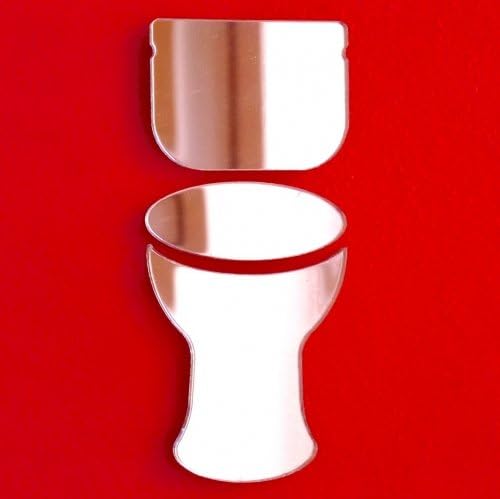 Toilet Door Sign Mirror - 12cm x 5cm