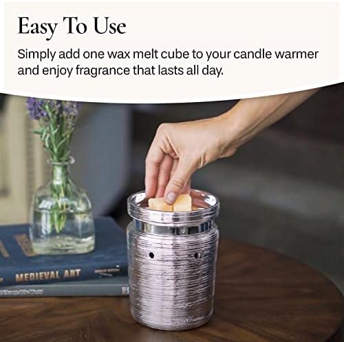 Candle Warmers Etc Classic Wax Melts 25oz 4-Pack Watermelon Lemonade 1