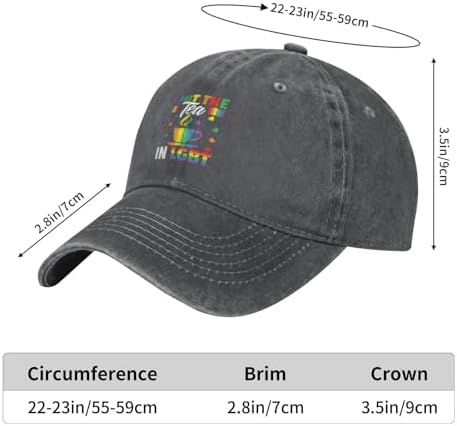 I Put The Tea In LGBT Baseball Cap for Men Women 1