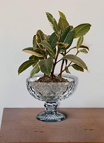 Serene Spaces Living Smokey Glass Pedestal Bowl 5 Diameter 4 Tall
