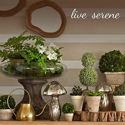 Serene Spaces Living Smokey Glass Pedestal Bowl 5 Diameter 4 Tall