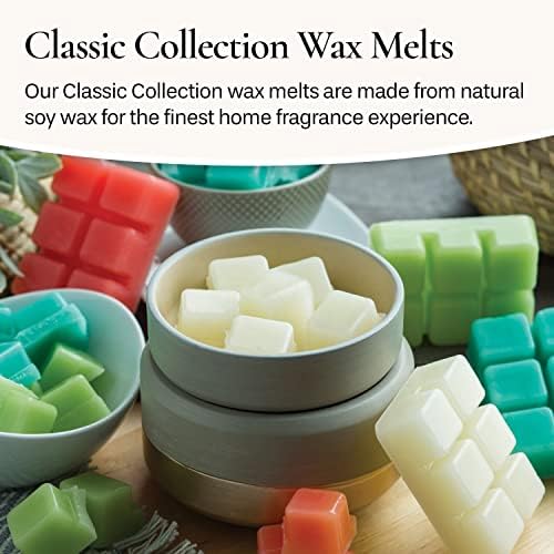 Candle Warmers Etc Classic Wax Melts 25oz 4-Pack Watermelon Lemonade 1