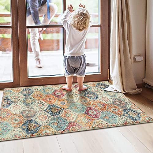 Lahome Non-Slip Washable Area Rug 2x4