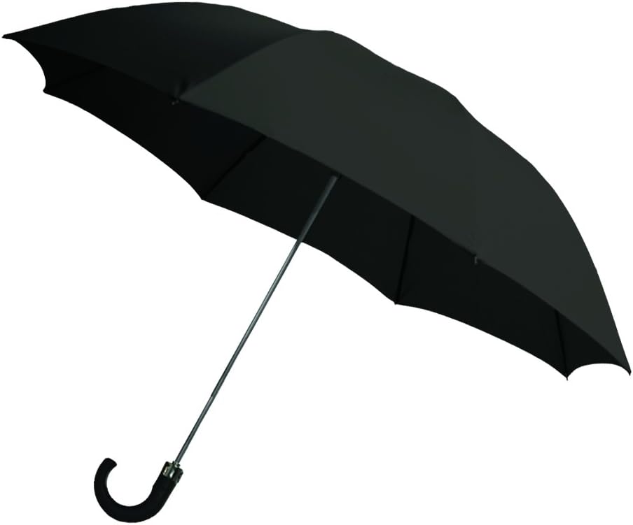 Rainbrella 2-Fold Auto Open Umbrella Black 42